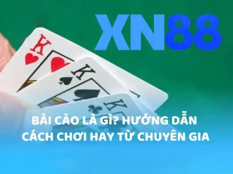 Ảnh minh họa quy trình xác thực người chơi## Mục lục