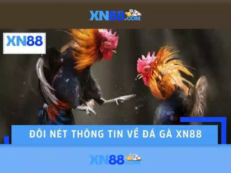 https://xn88app.it.com/images/text/xn88/xn88-text260331245.webp Các tính năng nổi bật của xn88