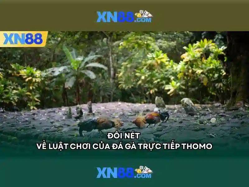 Tính năng nổi bật