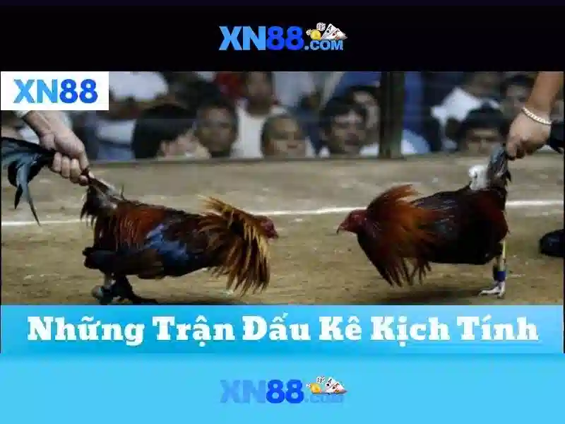 xn88: Nen tang giai tri truc tuyen cho cuoc the thao va song bac Giao diện nhà cái hoàn hảo