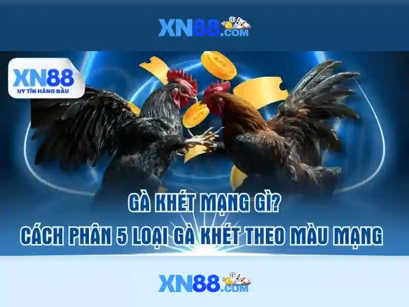 Sản phẩm và dịch vụ