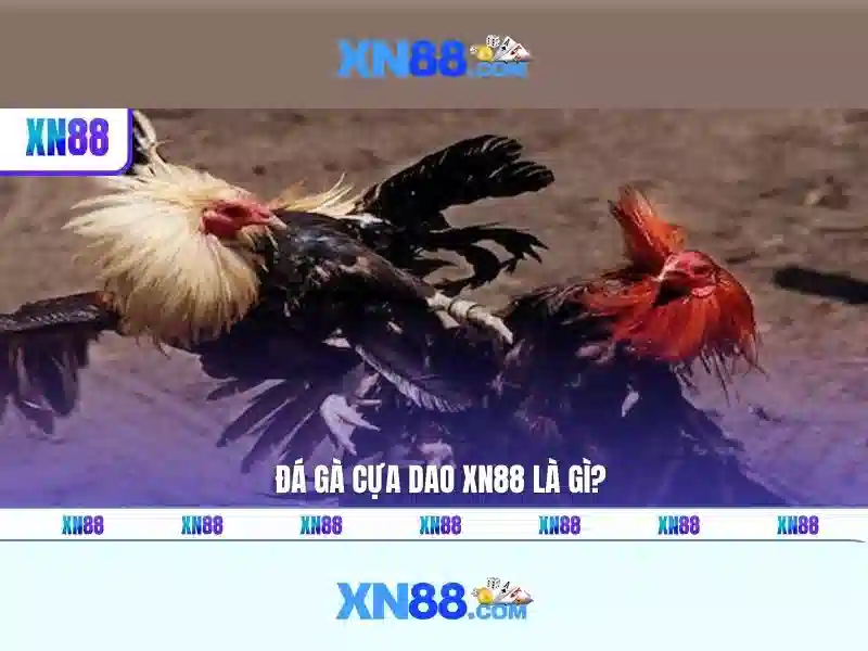 xn88: Gioi thieu ve nha cai truc tuyen Giao diện nhà cái hoàn hảo