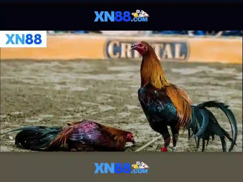 xn88 slot login – Tóm tắt chủ đề và giá trị cốt lõi