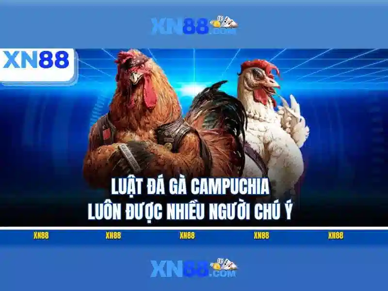 XN88: Nền tảng trò chơi và cược trực tuyến nổi bật
