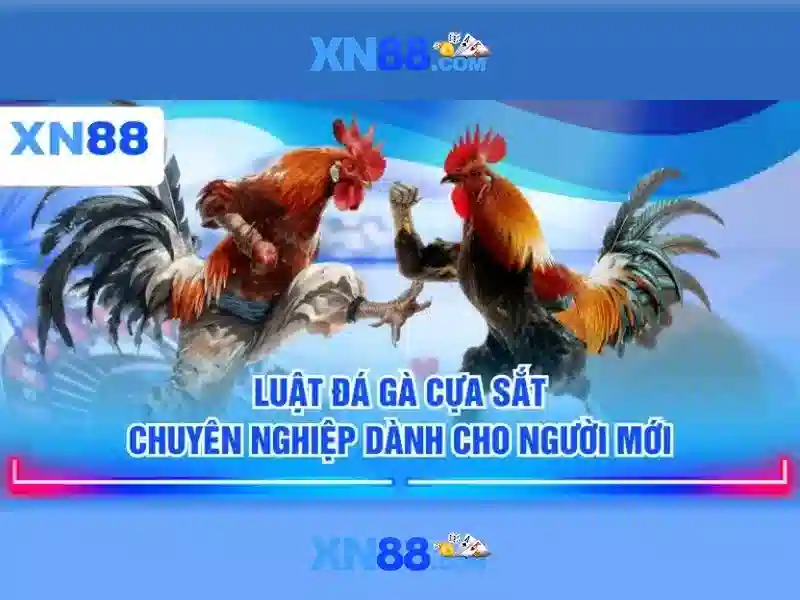 https://xn88app.it.com/images/text/xn88/xn88-text2603121116.webp Trải nghiệm người dùng