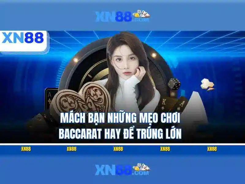 XN88 là gì? Khám phá nền tảng giải trí và cược trực tuyến