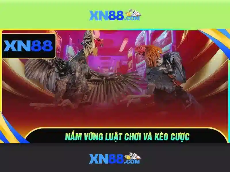 đăng ký xn88 – Tổng quan chủ đề và giá trị cốt lõi