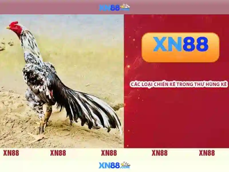 https://xn88app.it.com/images/text/xn88/xn88-text2603122145.webp Lịch sử và nguồn gốc của xn88