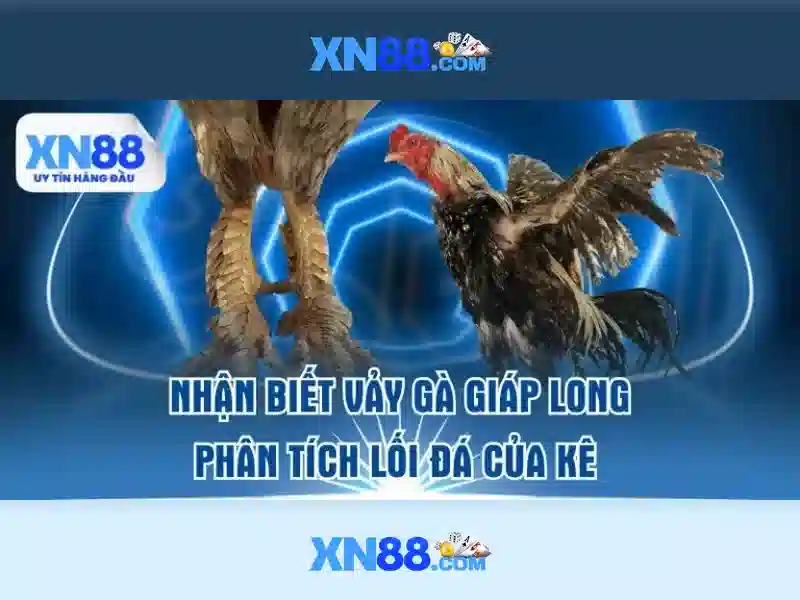 https://xn88app.it.com/images/text/xn88/xn88-text2603121076.webp An toàn và bảo mật
