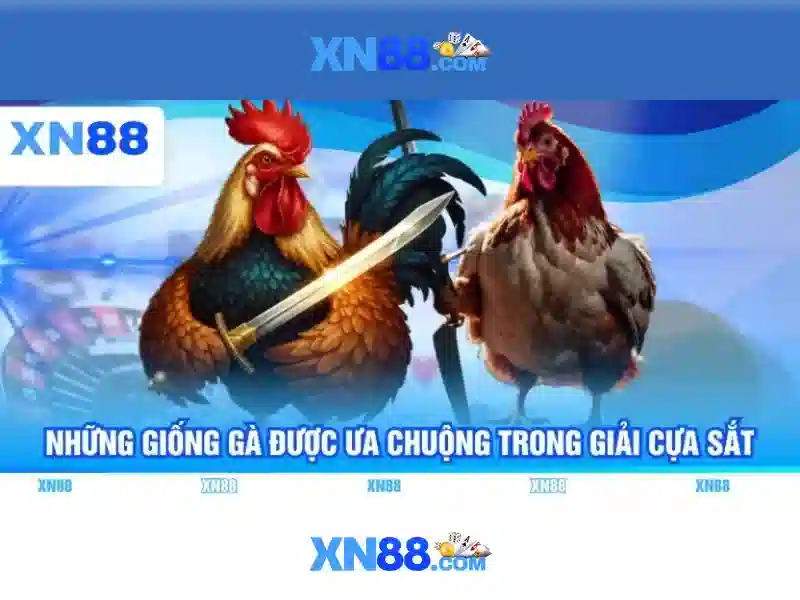 Nguồn gốc và sứ mệnh của xn88