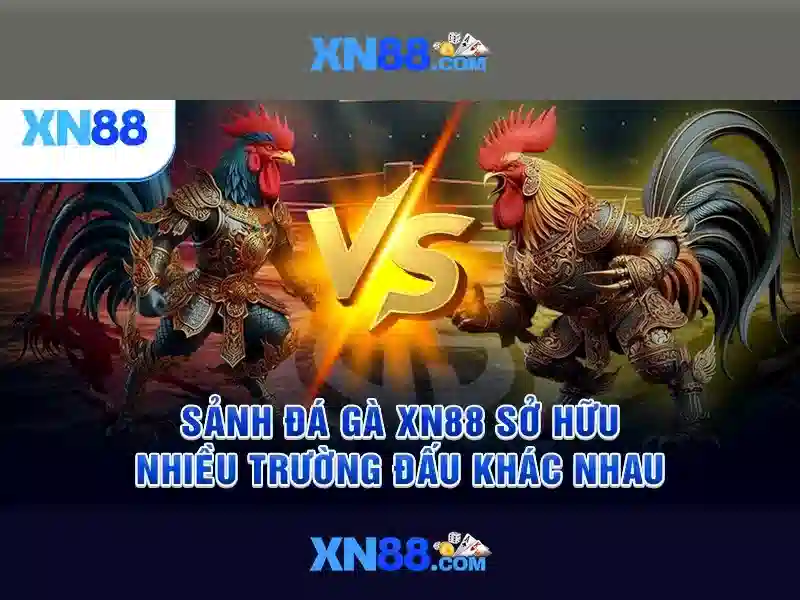 https://xn88app.it.com/images/text/xn88/xn88-text2603311779.webp Nền tảng và trải nghiệm người dùng