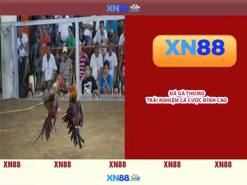 xn88 best – Tổng quan và giá trị cốt lõi