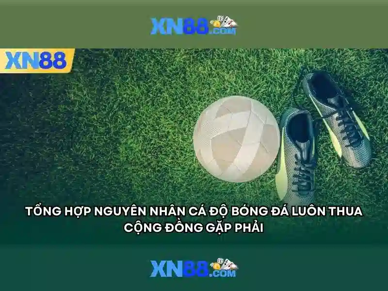Giới thiệu về xn88\n