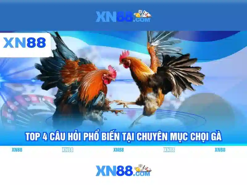 xn88 c: Khám phá giá trị cốt lõi và trải nghiệm xn88 vip