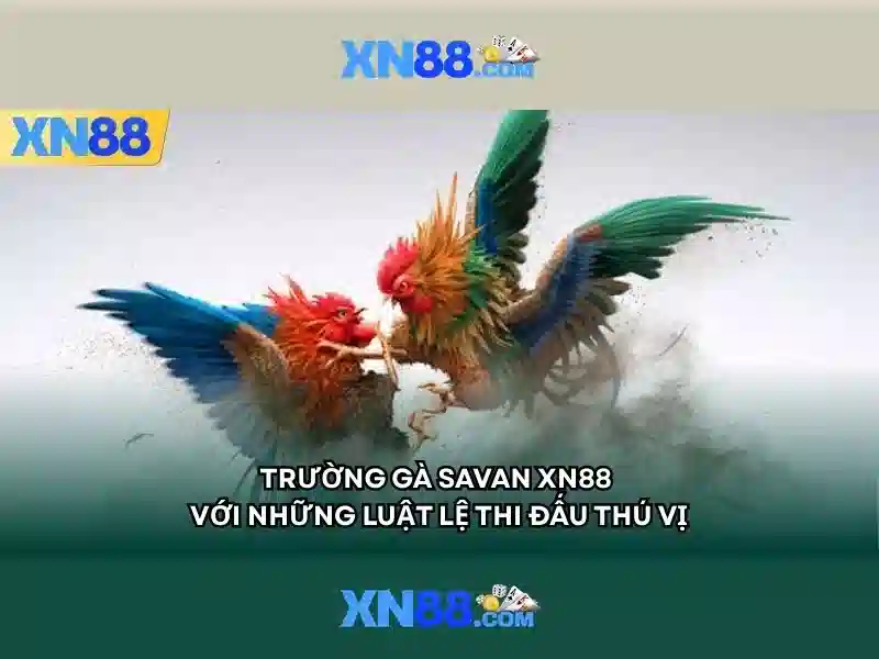 xn88: Nền tảng công nghệ và trải nghiệm người dùng