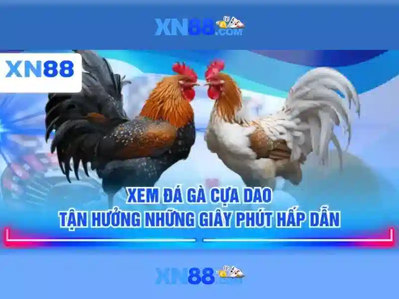 Giao diện nhà cái hoàn hảo
