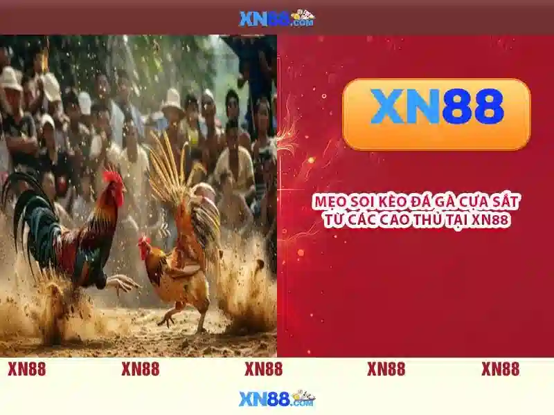 Giao diện nhà cái hoàn hảo