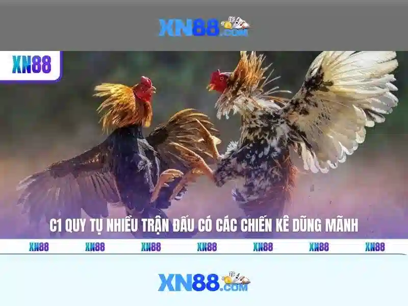 Giới thiệu về xn88