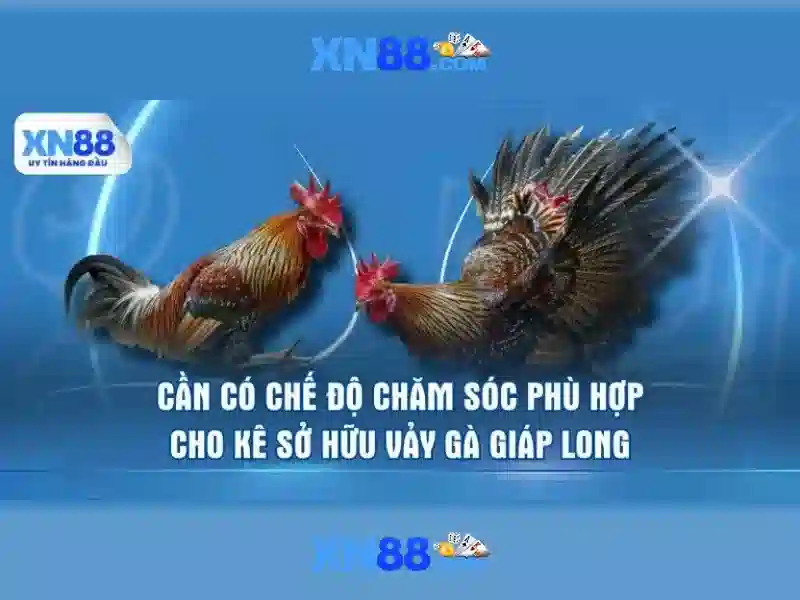 https://xn88app.it.com/images/text/xn88/xn88-text953.webp Giới thiệu về xn88\n