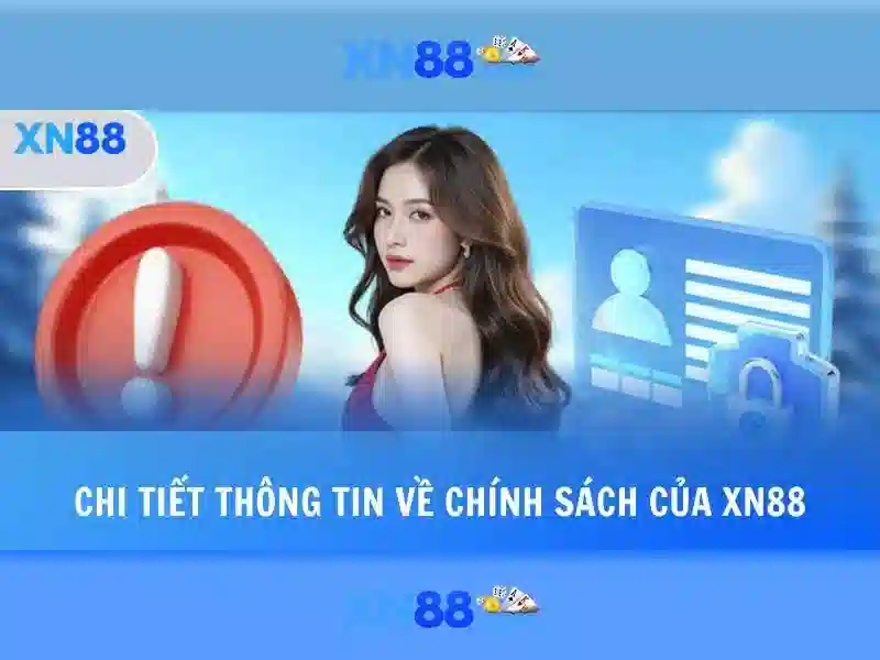 <!--IMG_PLACEHOLDER alt>Trải nghiệm người dùng và phản hồi cộng đồng-->