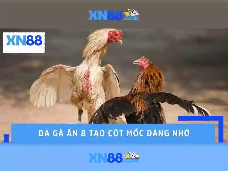 Lợi ích và cơ hội với xn88