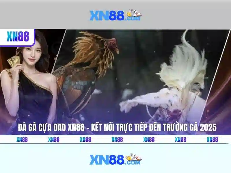 https://xn88app.it.com/images/text/xn88/xn88-text2603301816.webp An toàn và bảo mật\n