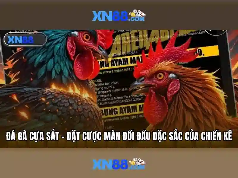 https://xn88app.it.com/images/text/xn88/xn88-text260331807.webp Giới thiệu về XN88