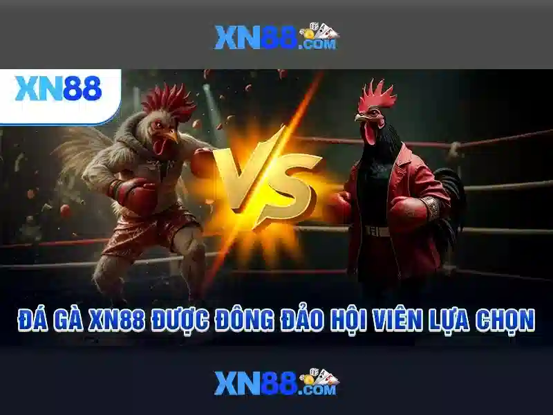 xn88: Đánh giá và hướng dẫn tổng quan