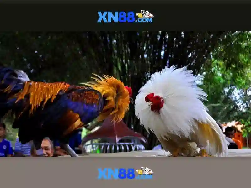 xn88: một cái nhìn tổng quan về nền tảng trò chơi trực tuyến Giao diện nhà cái hoàn hảo