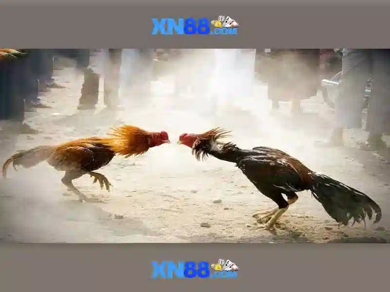 xn88: Nền tảng trực tuyến an toàn và tiện ích