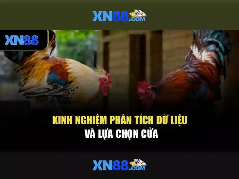 Công cụ và tính năng nổi bật
