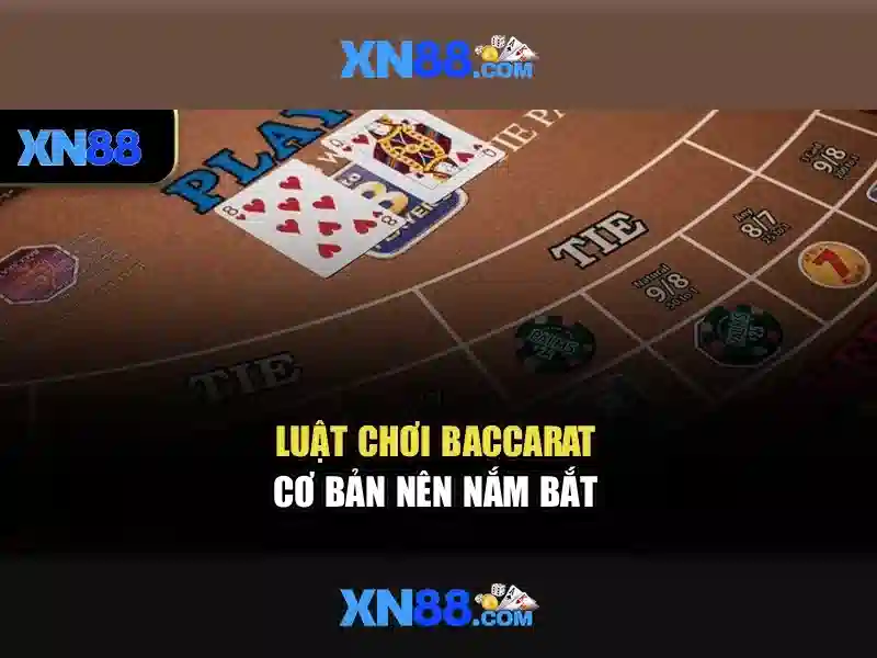 xn88-official – Khám phá nền tảng và trải nghiệm thương hiệu