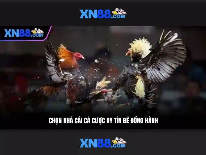 Giao diện nhà cái hoàn hảo