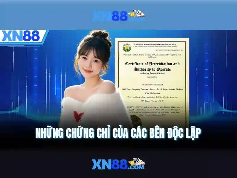 Giới thiệu về XN88 - Nền tảng giải trí trực tuyến