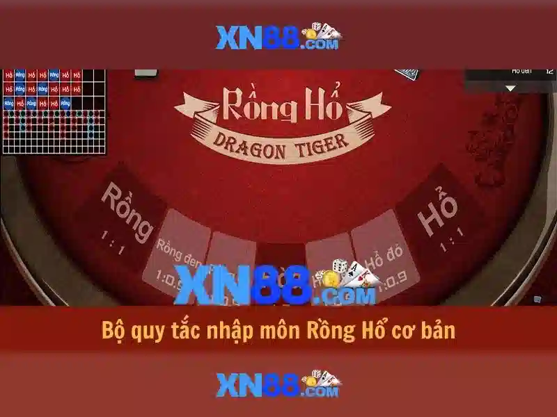 XN88: một cái nhìn tổng quan Giao diện nhà cái hoàn hảo