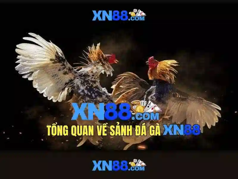 https://xn88app.it.com/images/text/xn88/xn88-text2603312651.webp XN88 - Nền tảng giải trí trực tuyến hàng đầu\n