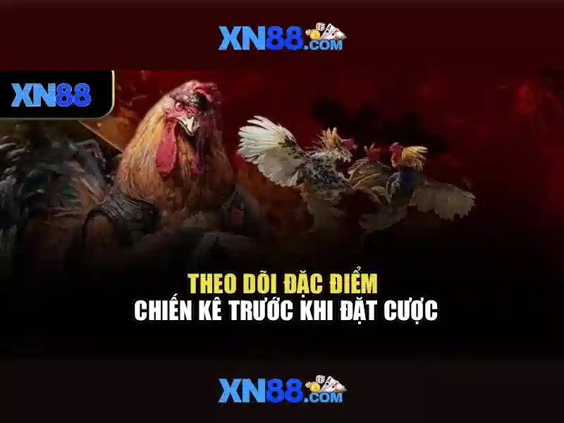 Tính năng bảo mật và đánh giá người dùng