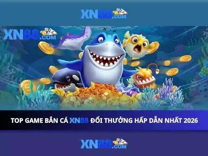 Trải nghiệm người dùng và thanh toán