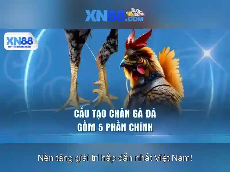 Hướng dẫn tham gia