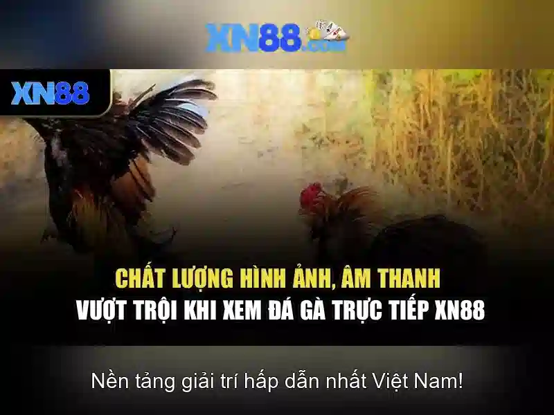 xn88: Nền tảng trò chơi trực tuyến và những điều bạn cần biết