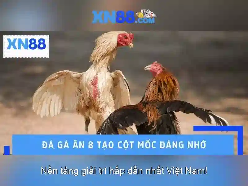 XN88: Tổng quan và hướng dẫn cơ bản cho người mới Giao diện nhà cái hoàn hảo