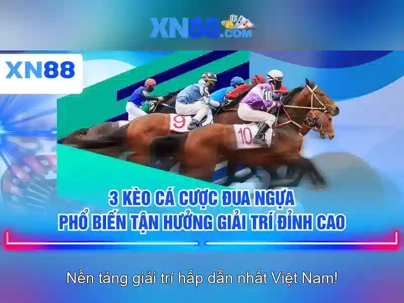 https://xn88app.it.com/images/text/xn88/xn88-text2603122502.webp Hỗ trợ và phản hồi của người dùng