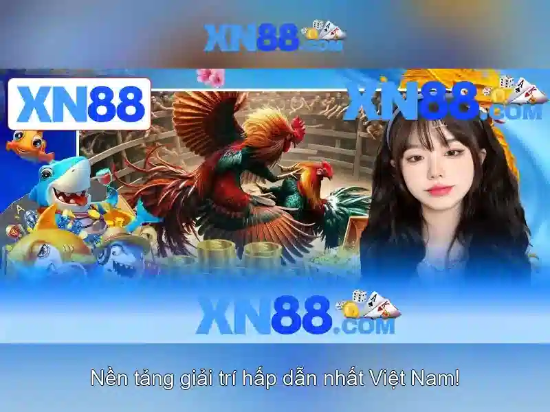 Giao diện nhà cái hoàn hảo