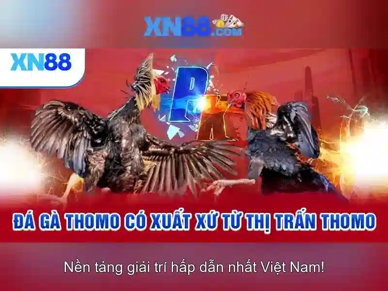 xn88: Nền tảng chơi game trực tuyến và đánh giá an toàn