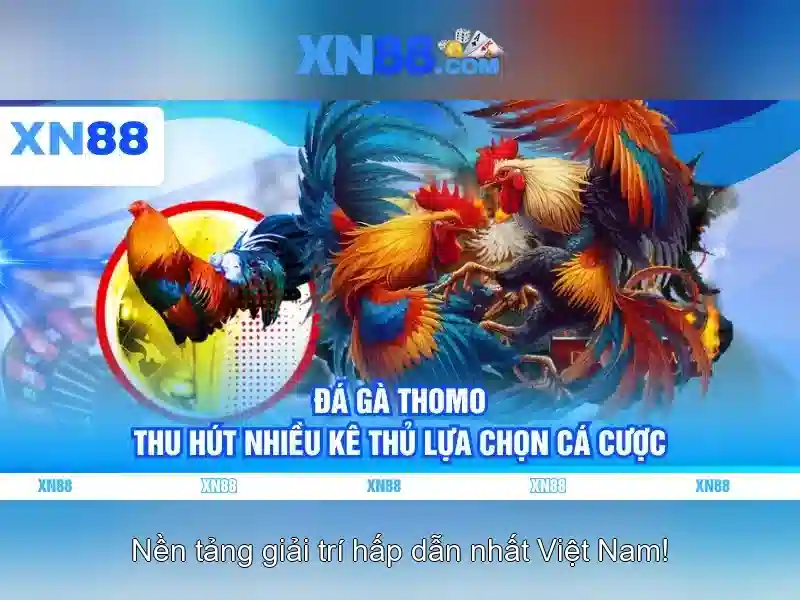 https://xn88app.it.com/images/text/xn88/xn88-text2603311590.webp Các dịch vụ và sản phẩm được xn88 cung cấp