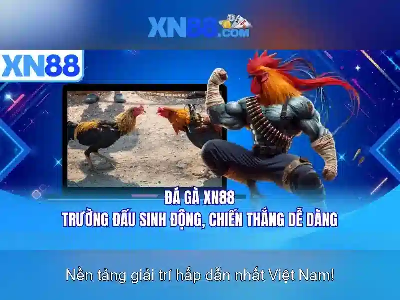 Các sản phẩm và dịch vụ nổi bật tại xn88