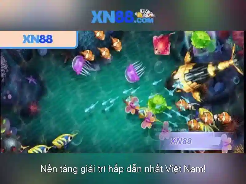 Lịch sử và phát triển của xn88