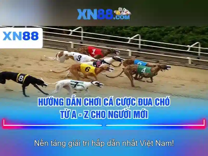 https://xn88app.it.com/images/text/xn88/xn88-text739.webp Giới thiệu về xn88