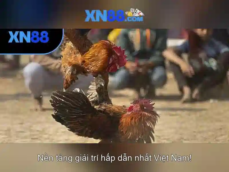 XN88: Khám phá nền tảng và trò chơi trực tuyến
