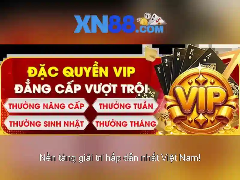 Dịch vụ và sản phẩm nổi bật